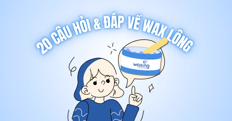 20 Câu Hỏi Thường Gặp Về Wax Lông